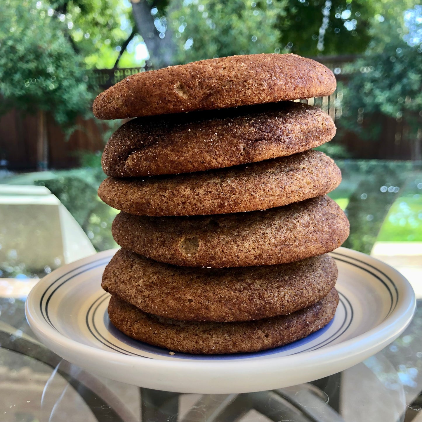 Snickerdoodle Cookie x6