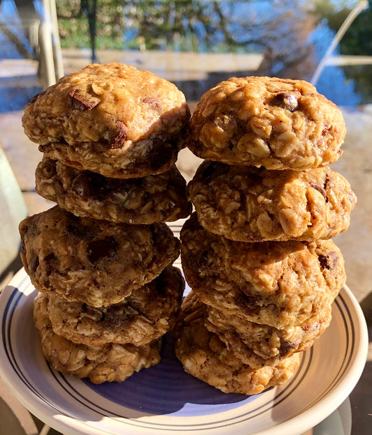 Mini Oatmeal Chocolate Chip Cookies x10